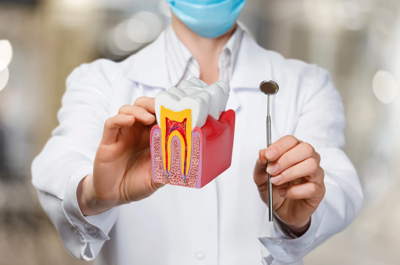 Dentista motrando um canal no dente Dentista motrando um canal no dente